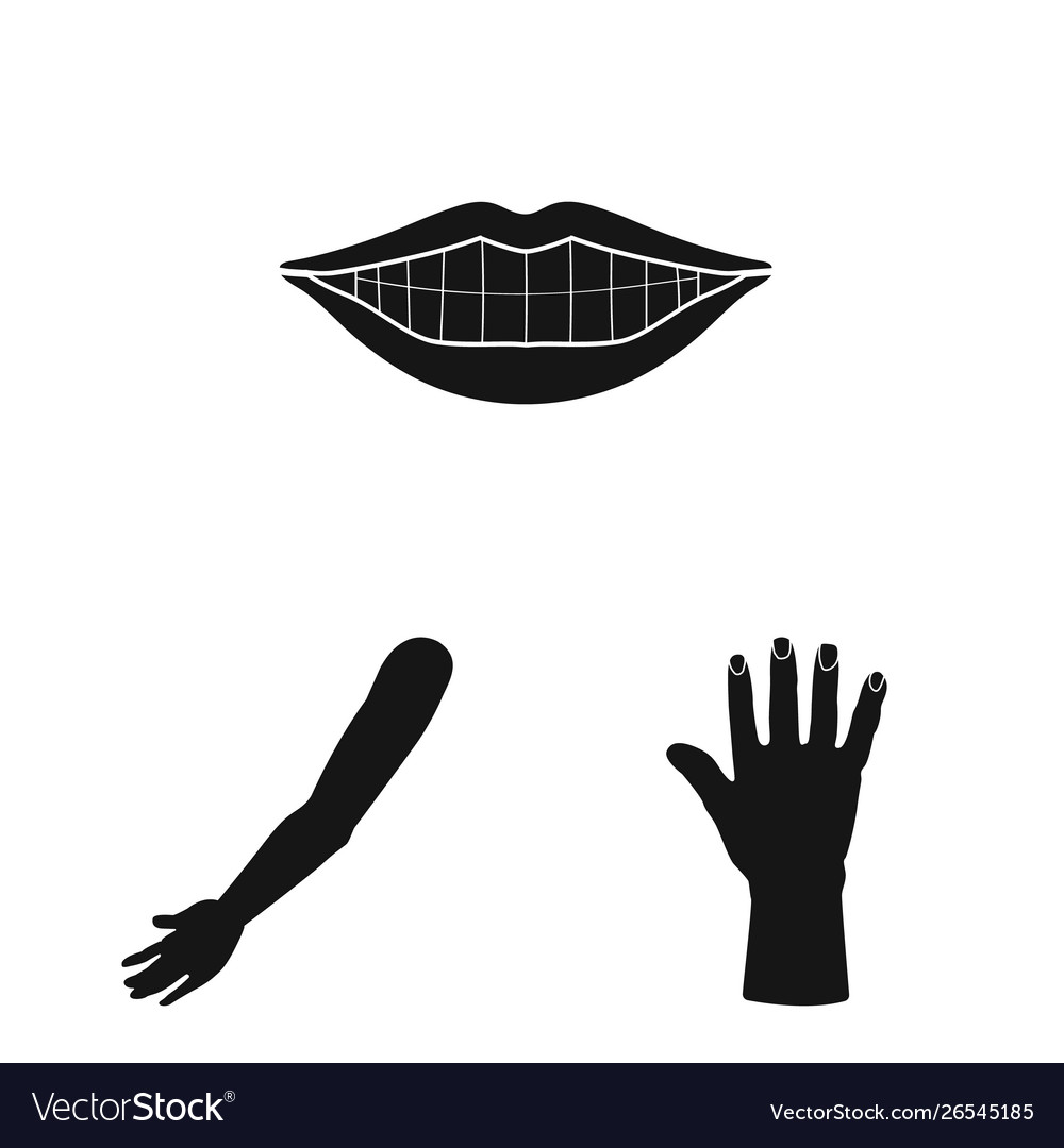 Isolated object body and part icon collection vector image Isolated object body and part icon collection