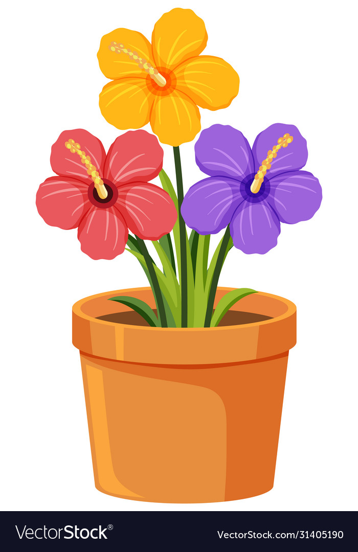 Khám phá 84+ hình ảnh flower pot background thpthoangvanthu.edu.vn