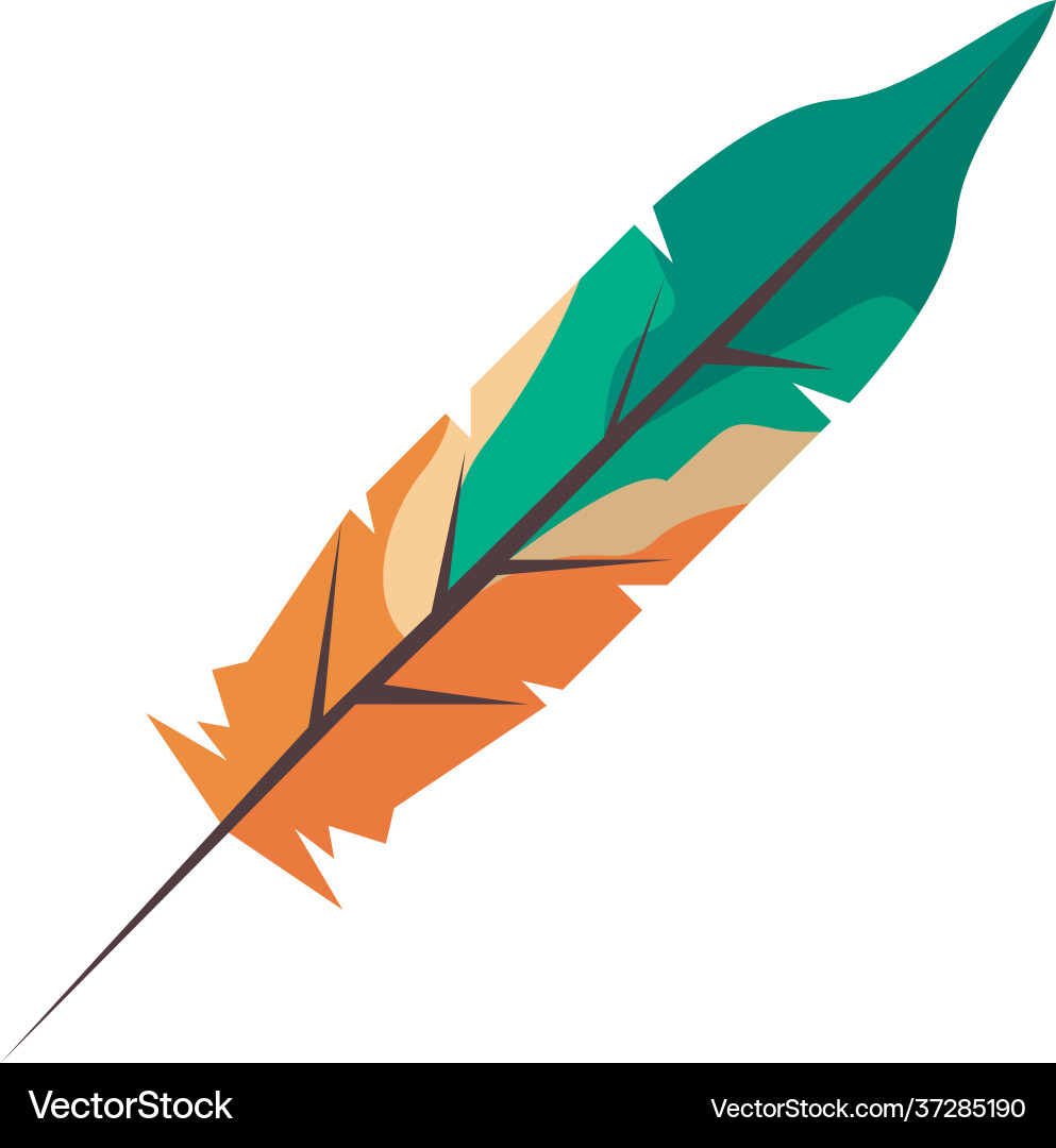 Feather boho style Royalty Free Vector Image - VectorStock