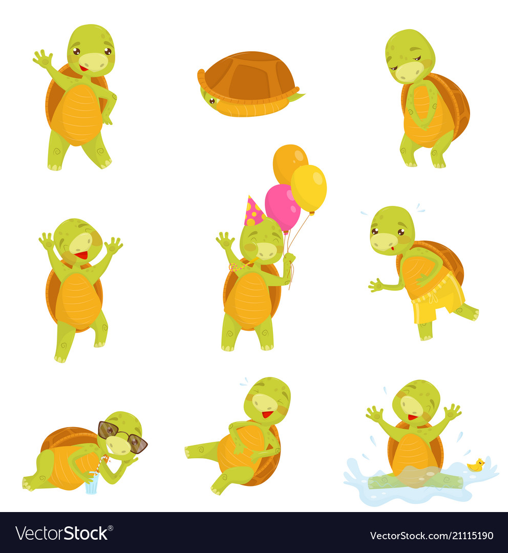 Set of cute green turtle in different actions Vector Image