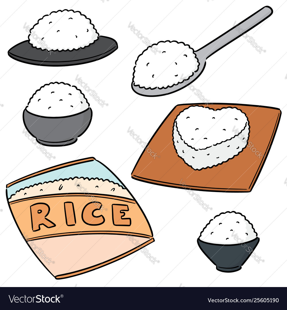 Почему любят рис. Рис вектор. рис рисунок. rice vector.