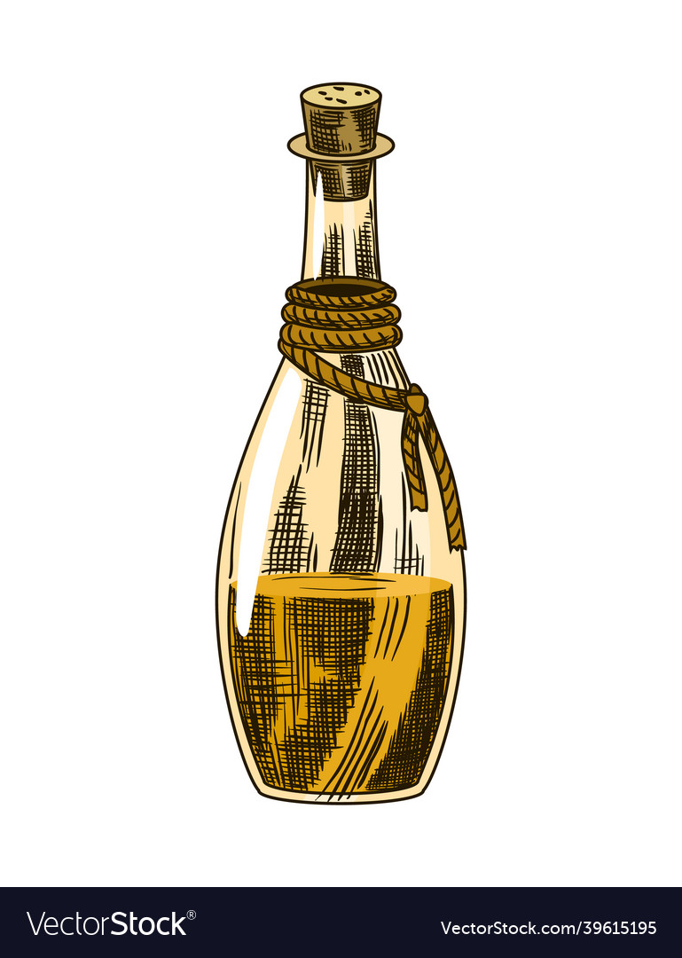 Cane sugar product from sugarcane plant vector image Cane sugar product from sugarcane plant