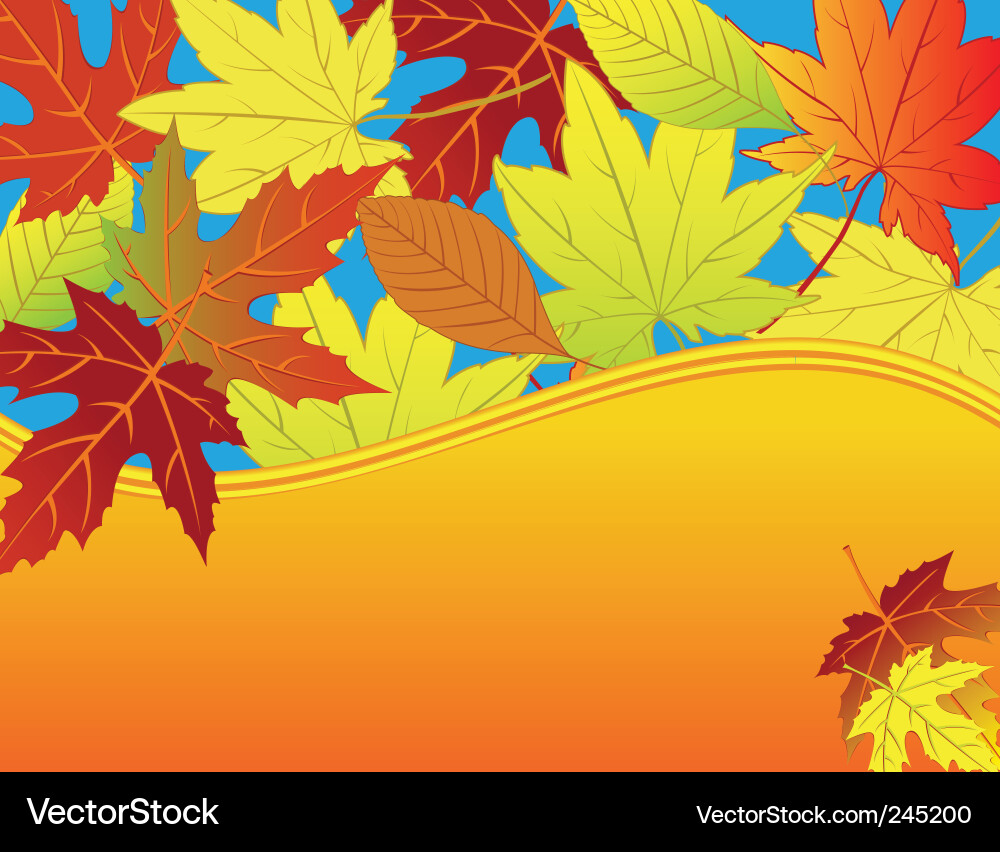 Autumn leaf background Royalty Free Vector Image