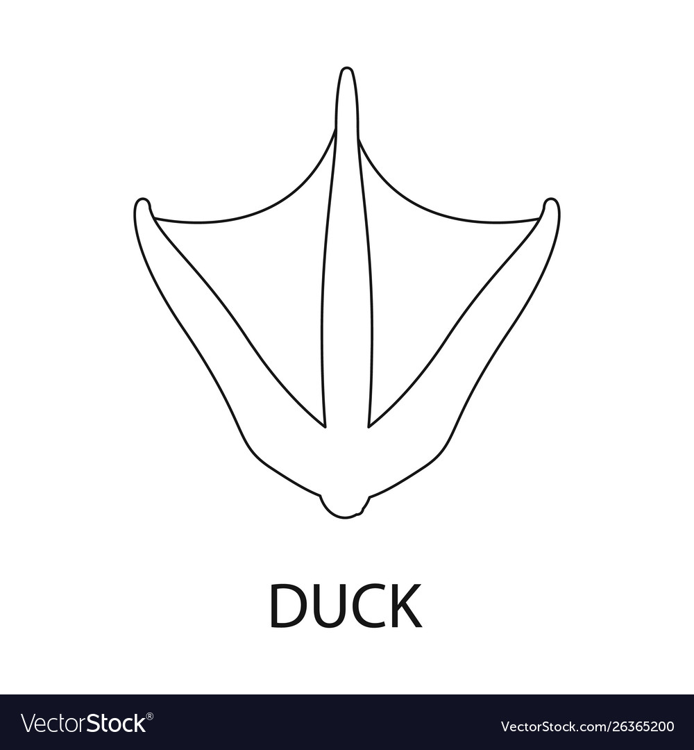 Isolated object duck and paw logo collection