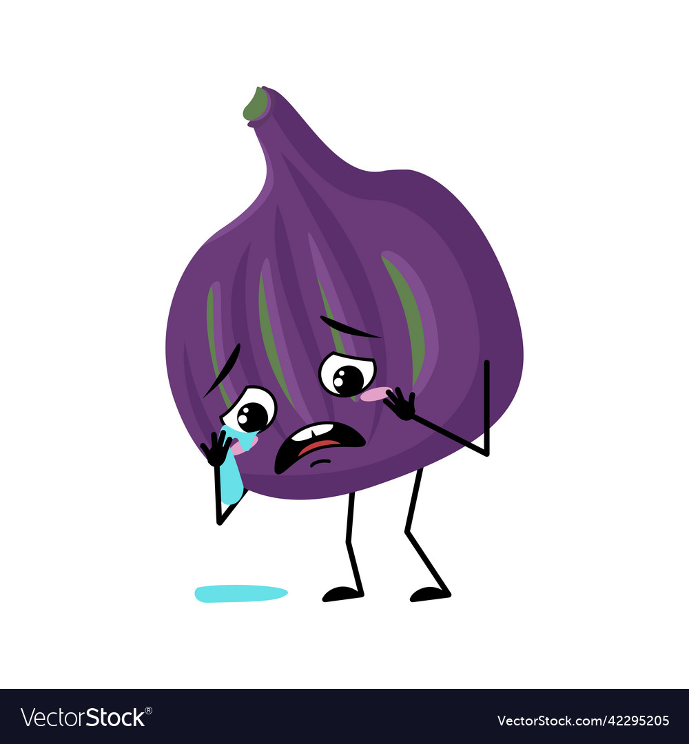 Fig character with crying and tears emotion vector image Fig character with crying and tears emotion