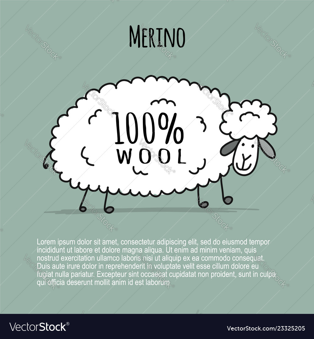 Merino Schafskizze für Ihr Design