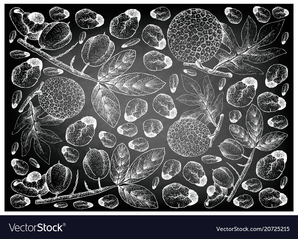 Hand gezeichneter Hintergrund von Ackee Früchten und Brotfru