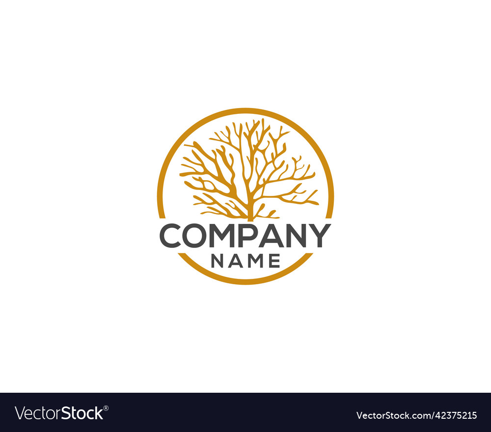 Sea moss logo design beautiful algae Royalty Free Vector