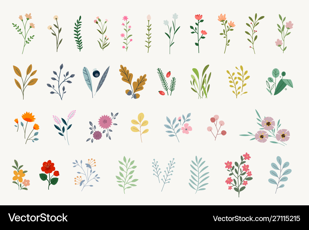 Set floral elements Royalty Free Vector Image - VectorStock