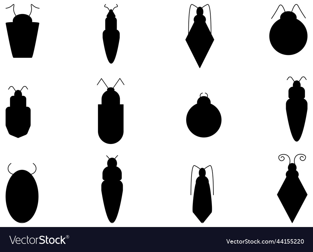 Flat insect bug set vector image Flat insect bug set