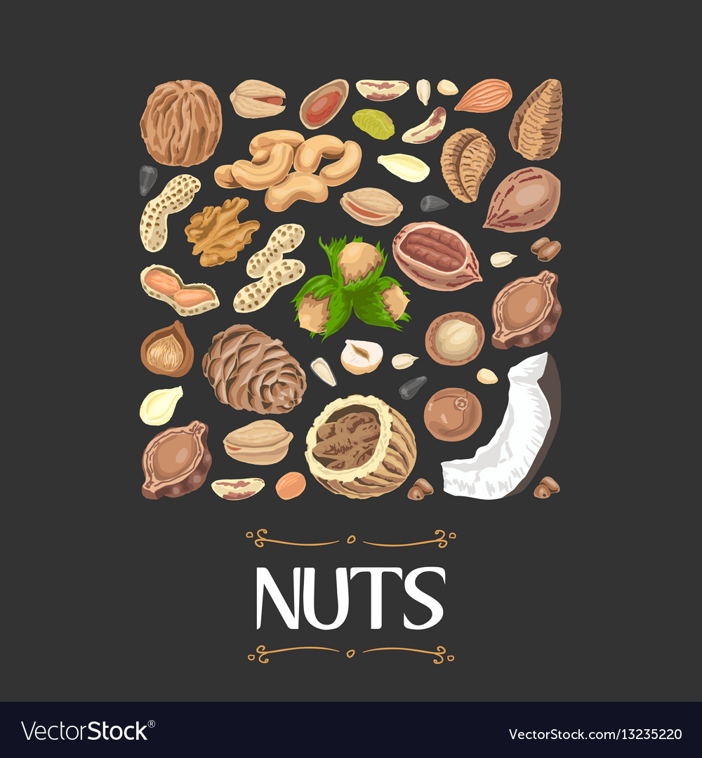 Isolated square of nuts and seeds
