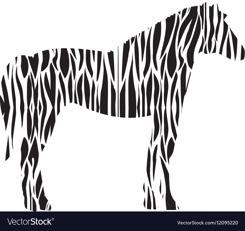 Isolated zebra design