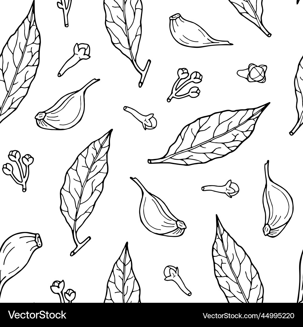 Seamless pattern with cooking herbs and spices Vector Image