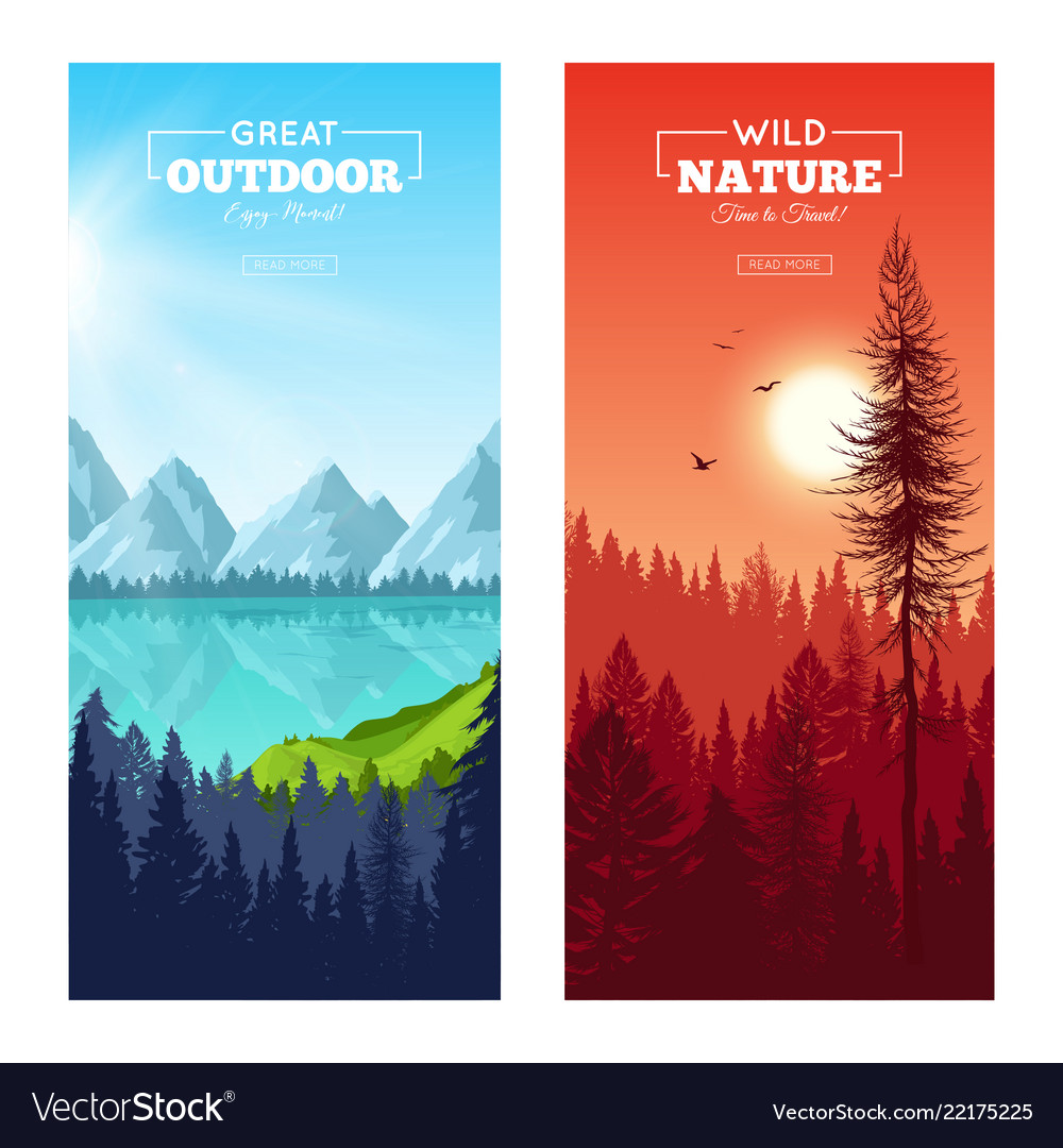 realistic pine forest vertical