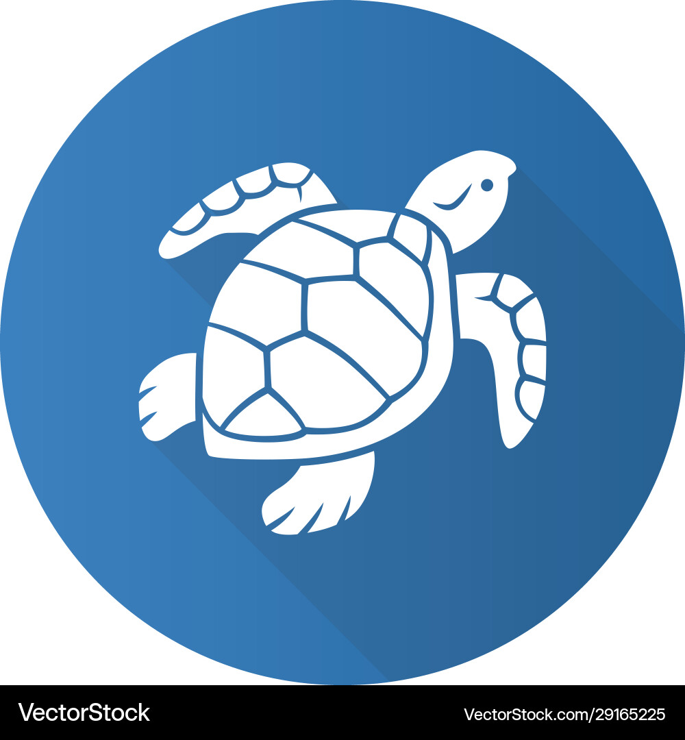 Blue Turtle Logo Turtle Logo Graphic Design Concept. Editable Sea