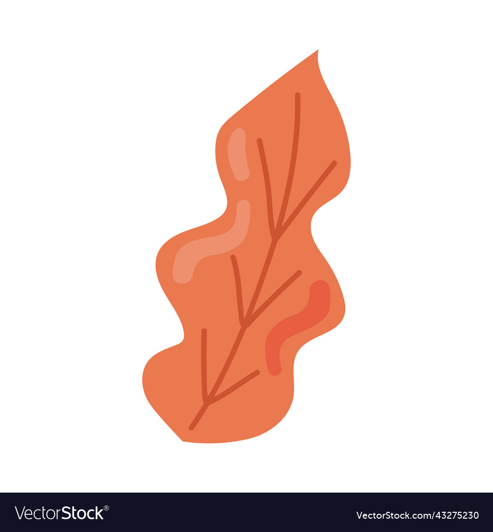 Orange leaf plant Royalty Free Vector Image - VectorStock