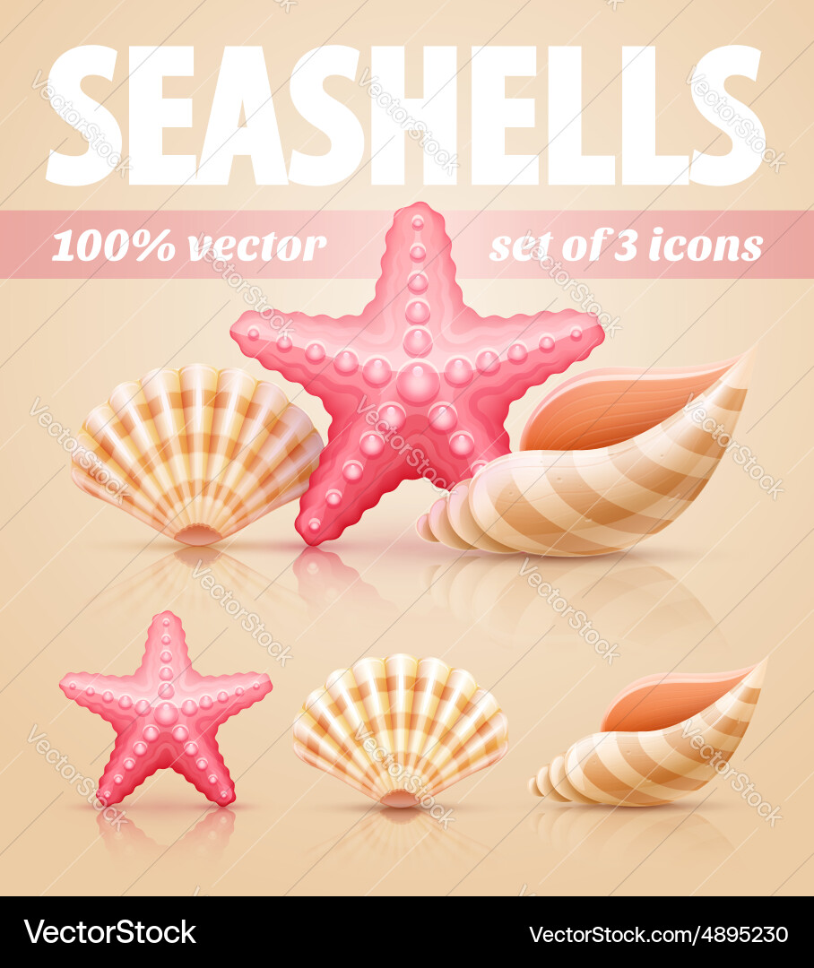 Set of summer sea shells Royalty Free Vector Image