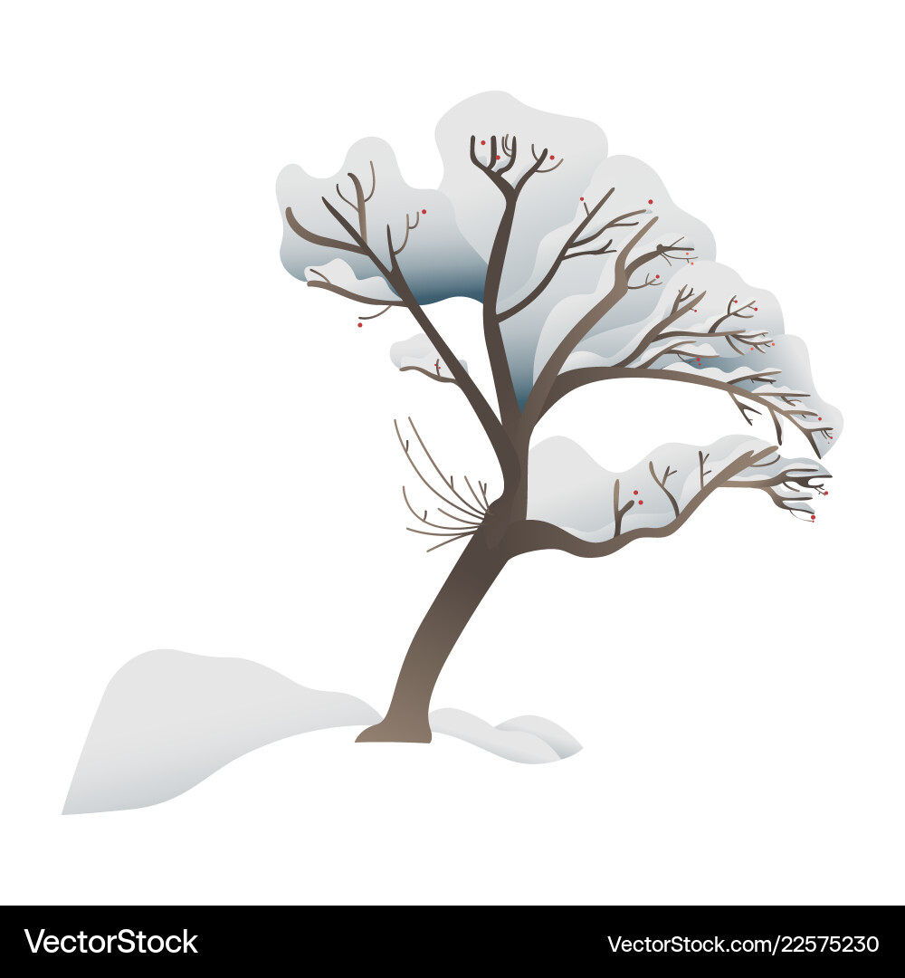 Snowy tree - forest or park Royalty Free Vector Image