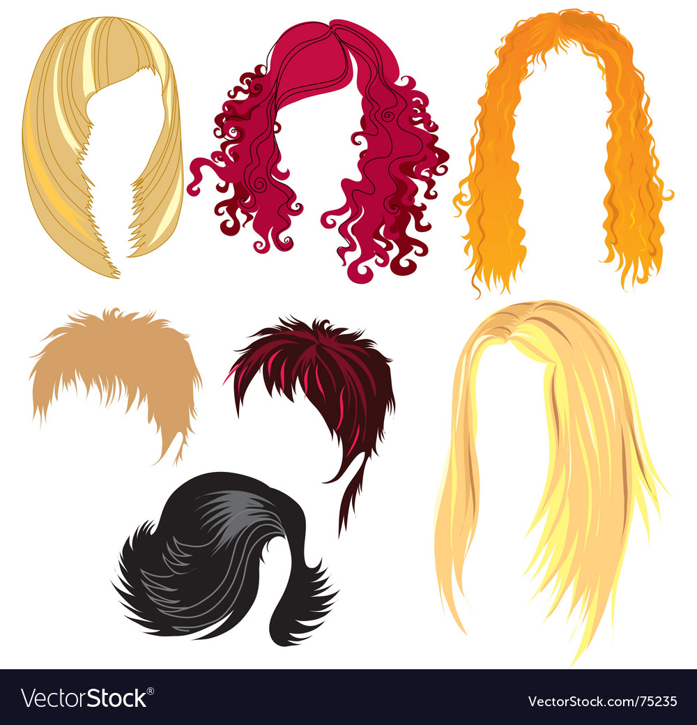 Haircut sample Royalty Free Vector Image - VectorStock