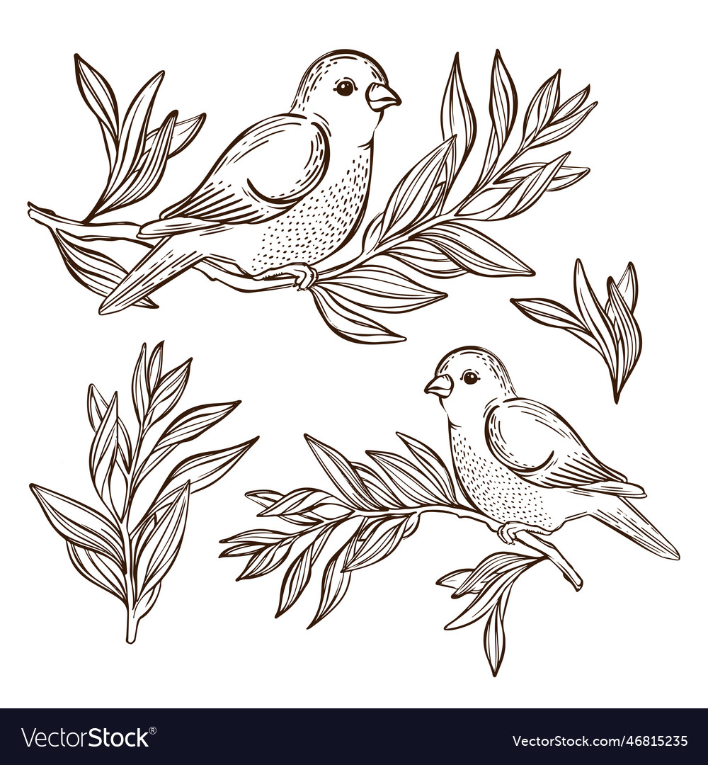 Nightingale on tea branch songbird Royalty Free Vector Image