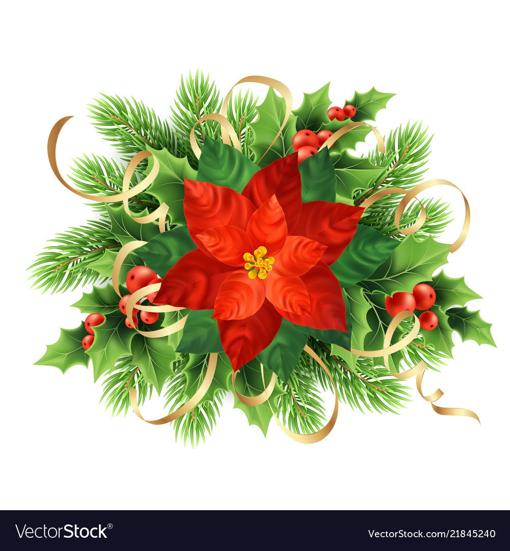 Download Red poinsettia flower christmas Royalty Free Vector Image