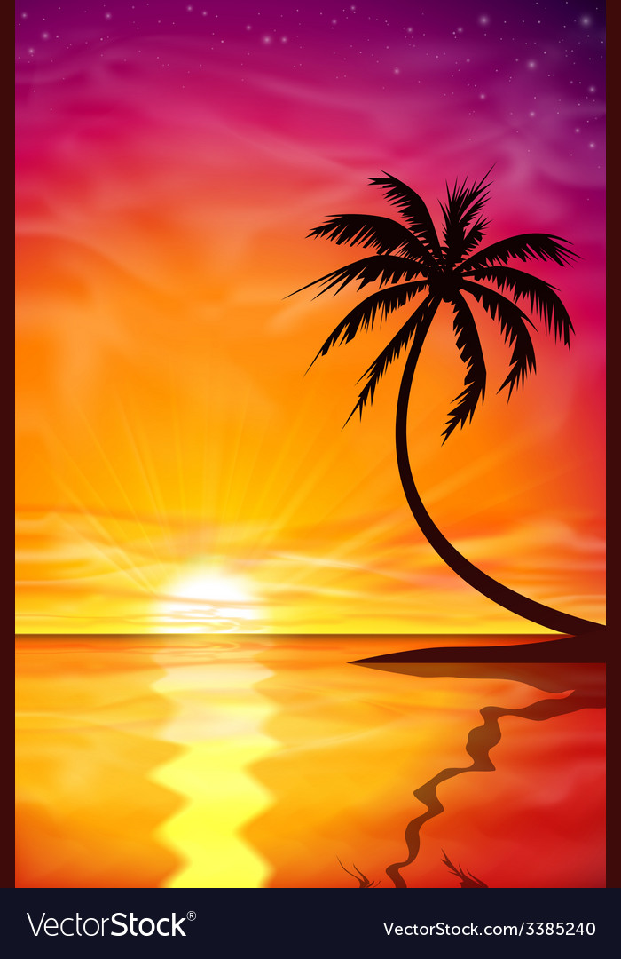 Sunset sunrise with palm tree Royalty Free Vector Image