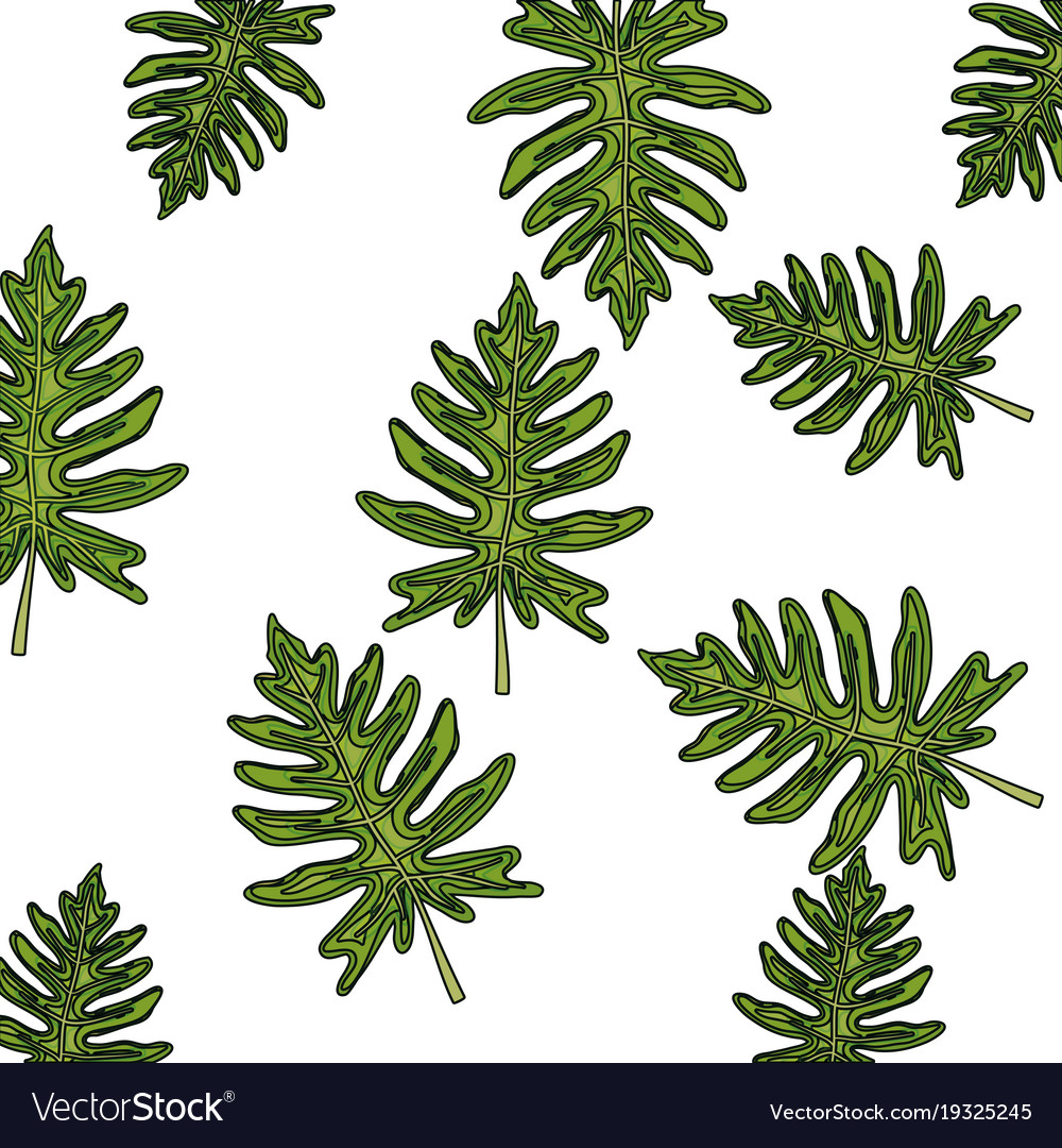 Leaves pattern background