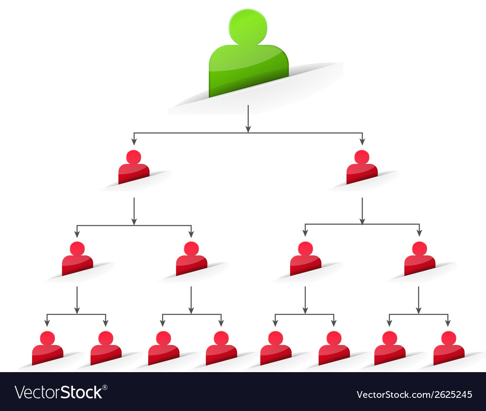 Office Organization Chart Tree Stock Vector Image | The Best Porn Website