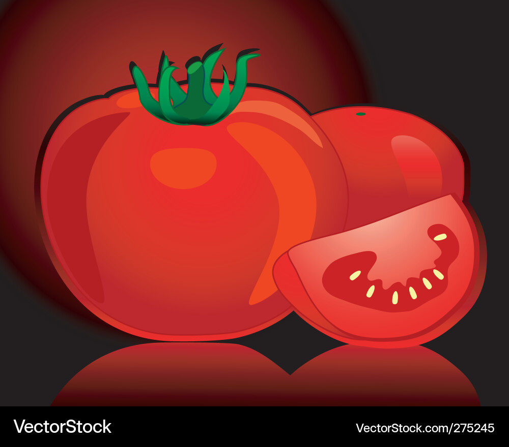 Tomato Royalty Free Vector Image - VectorStock