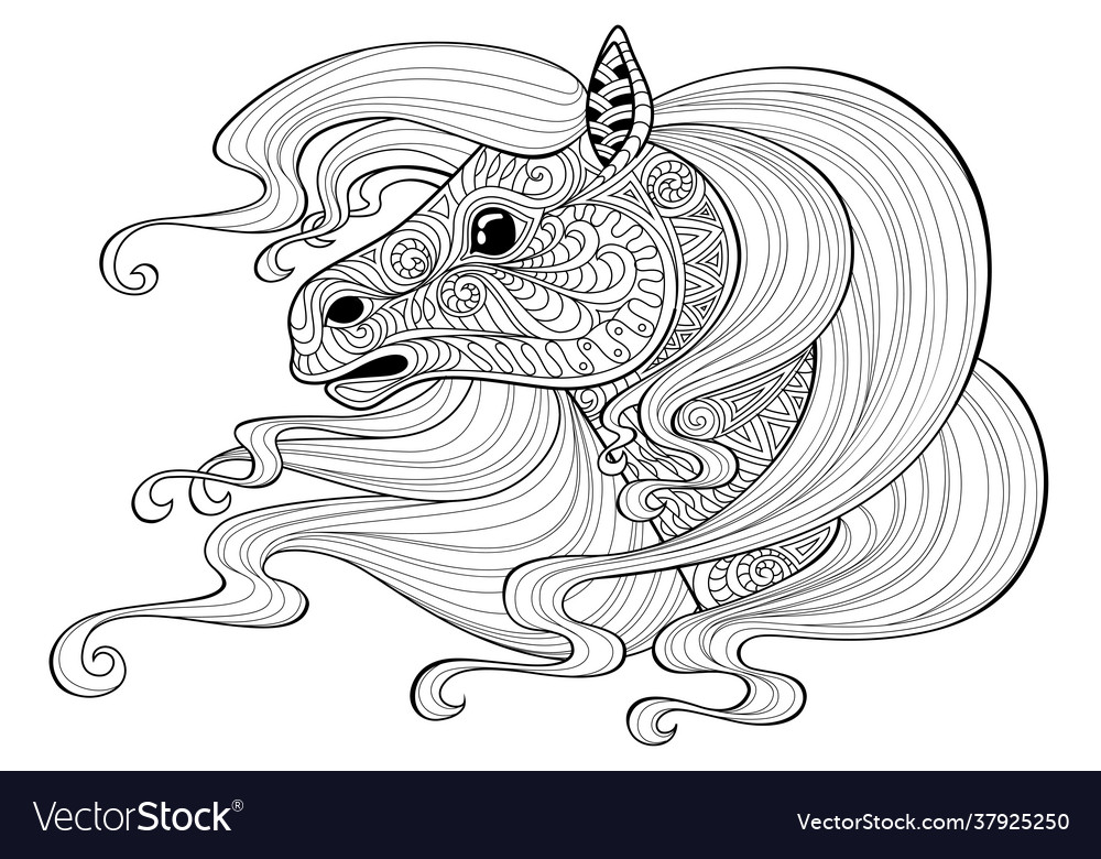 Horse with long hair vector image Horse with long hair