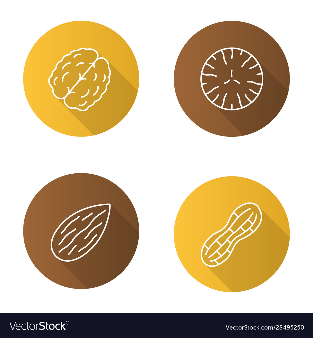 Nuts types flat linear long shadow icons set vector image Nuts types flat linear long shadow icons set