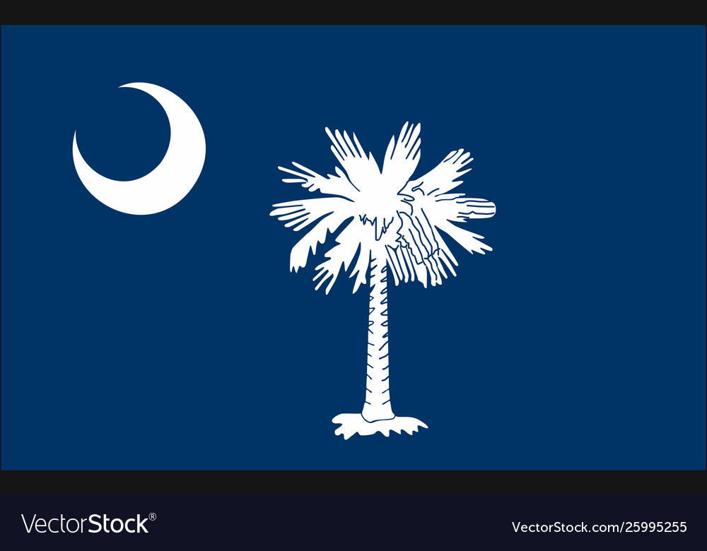 Flag south carolina state united states