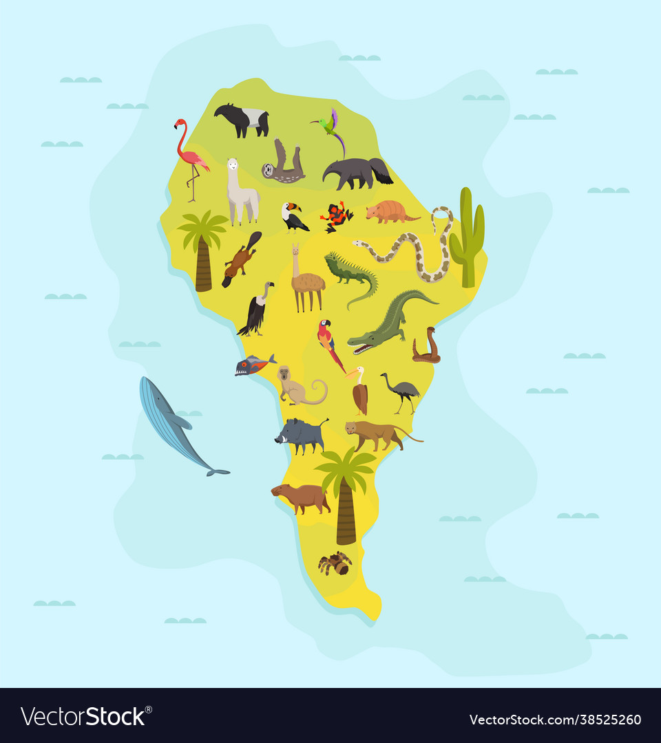 Animal map south america nature fauna