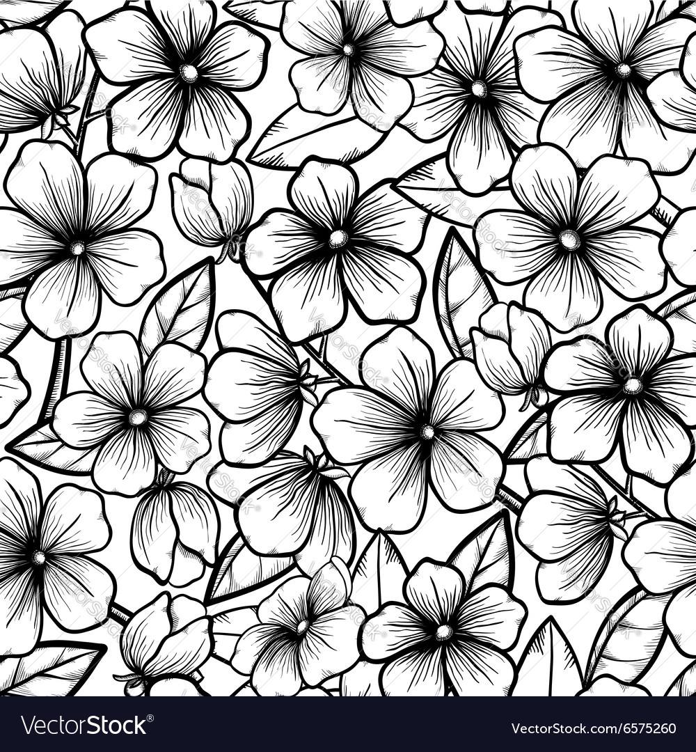 Black and White Floral Branches