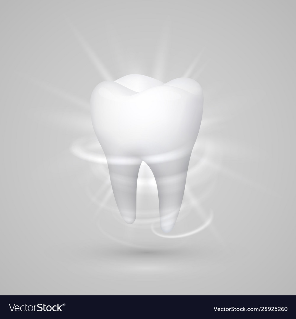 Tooth on a white background template design Vector Image