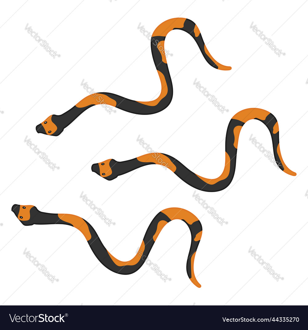 Black snakes on a white background Royalty Free Vector Image