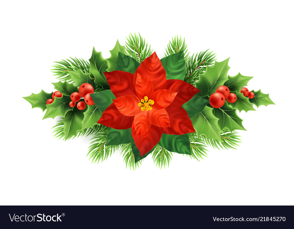 Download Red poinsettia flower christmas Royalty Free Vector Image