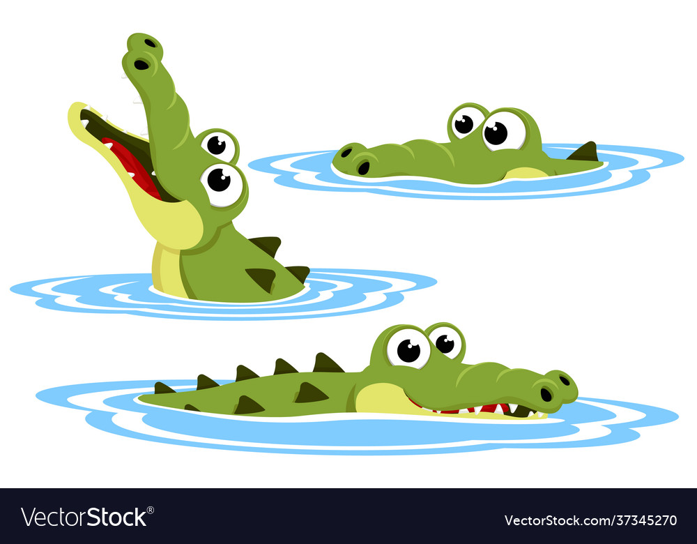 Set crocodile in water the character Royalty Free Vector