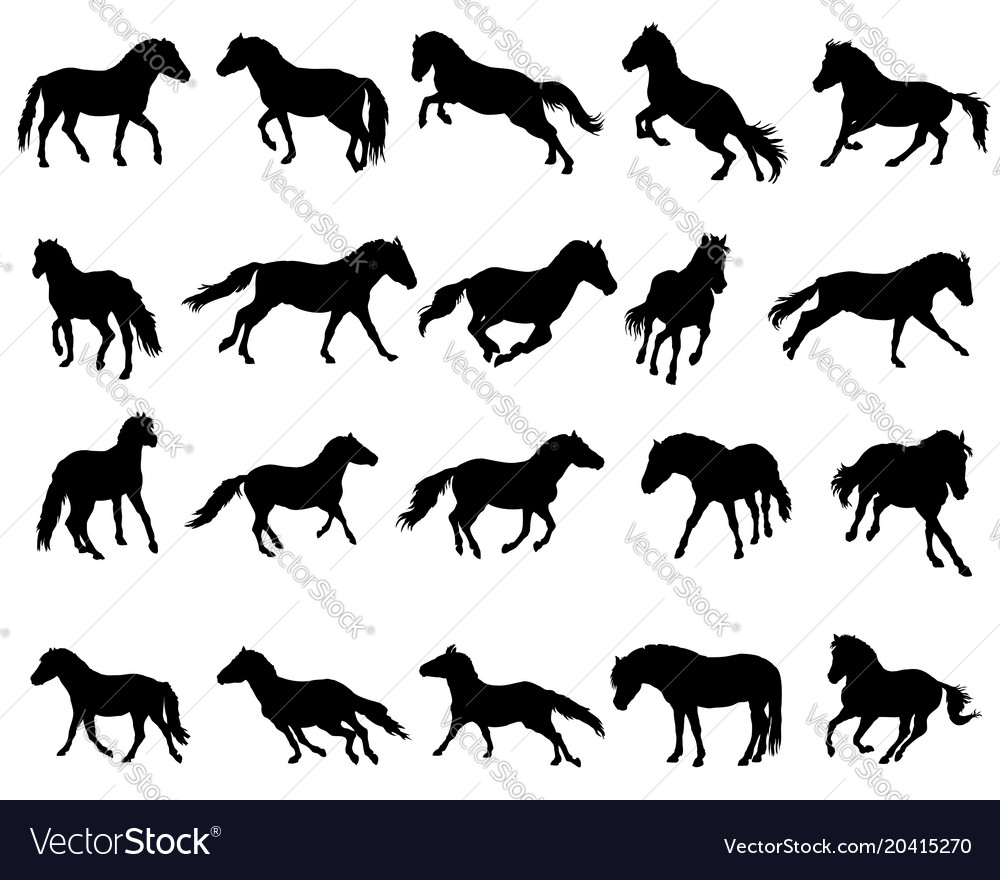 Set of isolated horses silhouettes-3 Royalty Free Vector