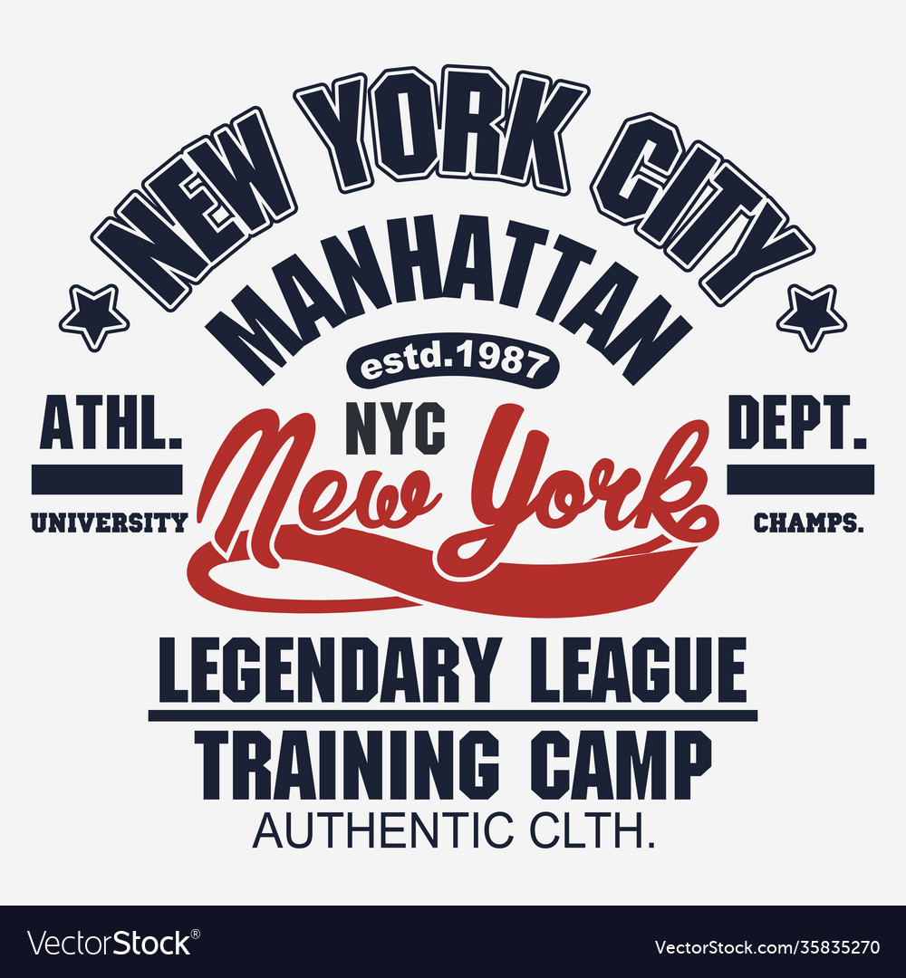 T-shirt stamp graphic new york sport wear Vector Image