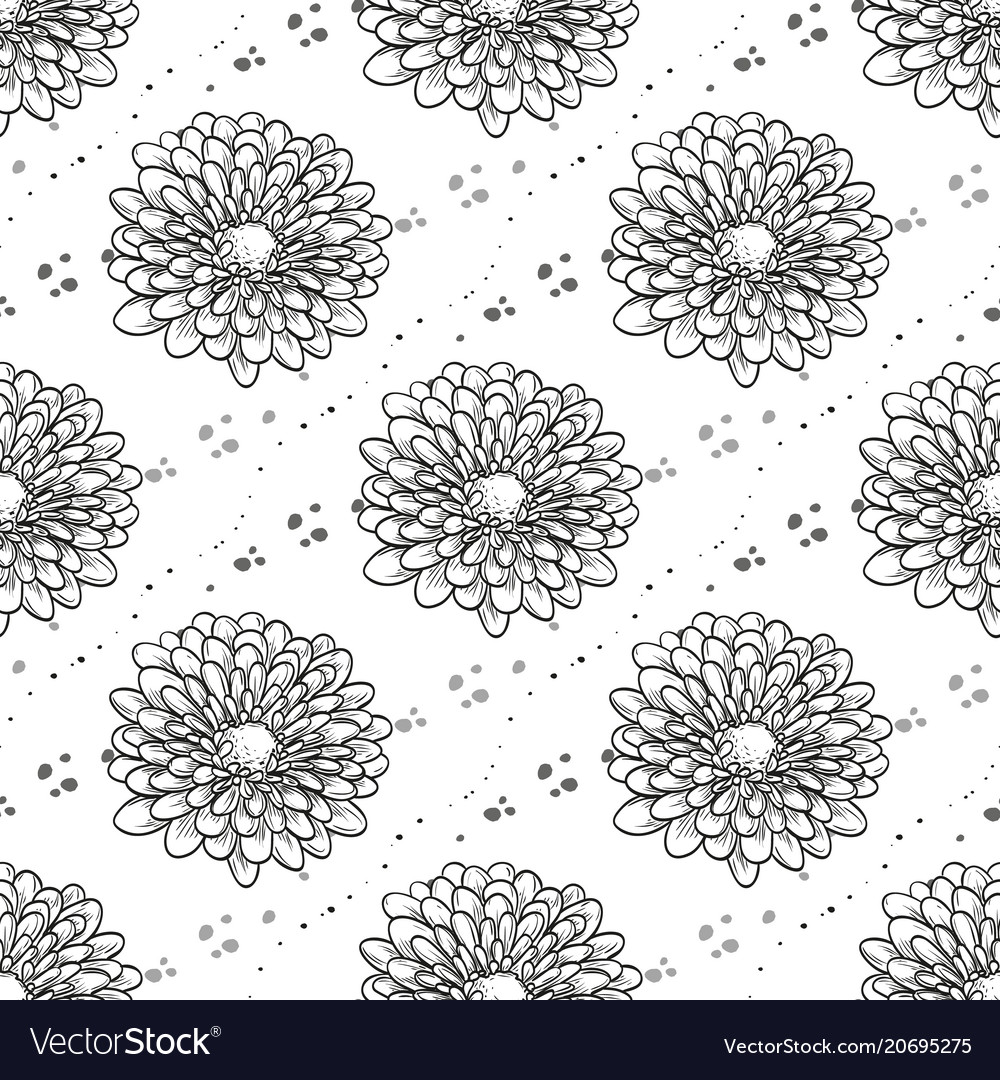 Chrysanthemum seamless pattern Royalty Free Vector Image