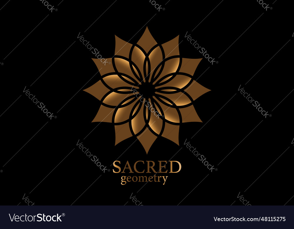 Gold flower of life mandala of sacred geometry Vector Image