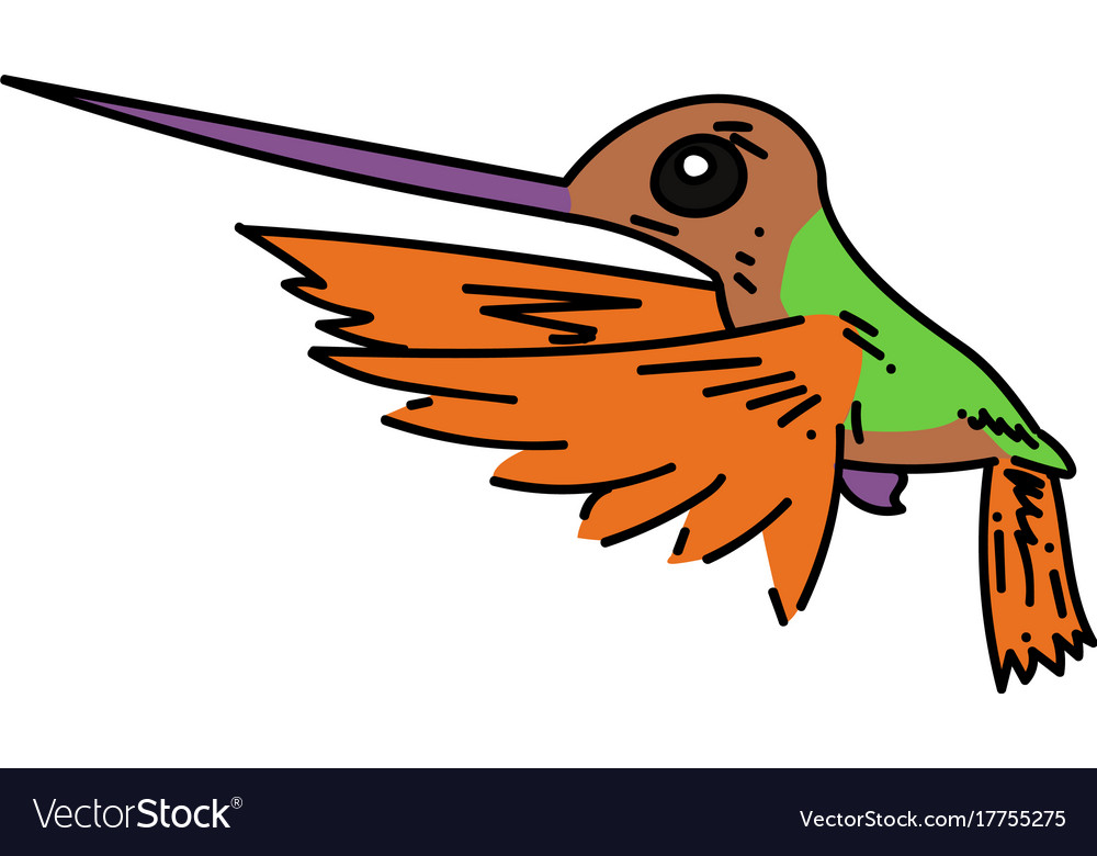 Hummingbird cartoon hand drawn image Royalty Free Vector