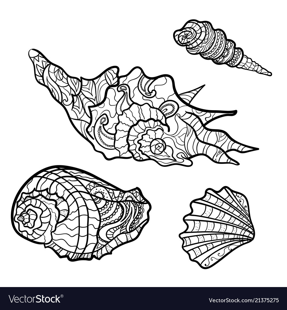 Seashells shell pattern set coloring book