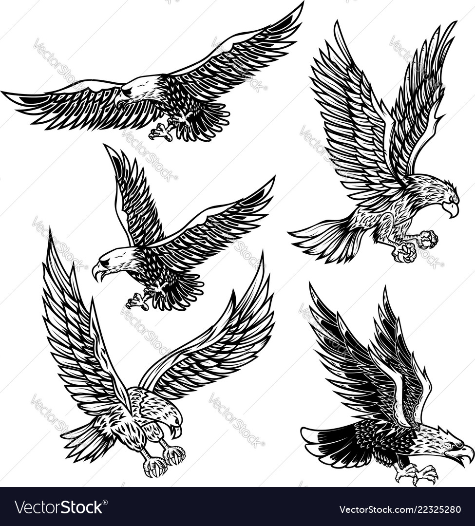 Set of eagles design element for logo label vector image Set of eagles design element for logo label