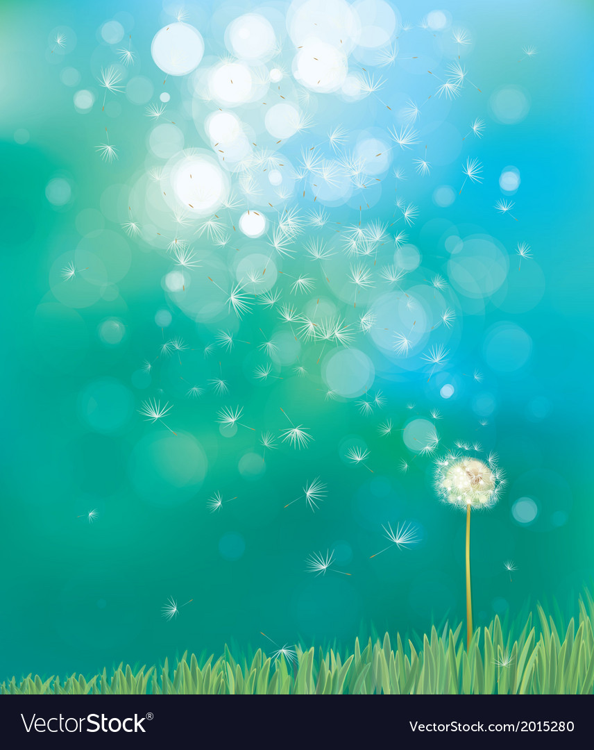 Spring Meadow Dandelion Background