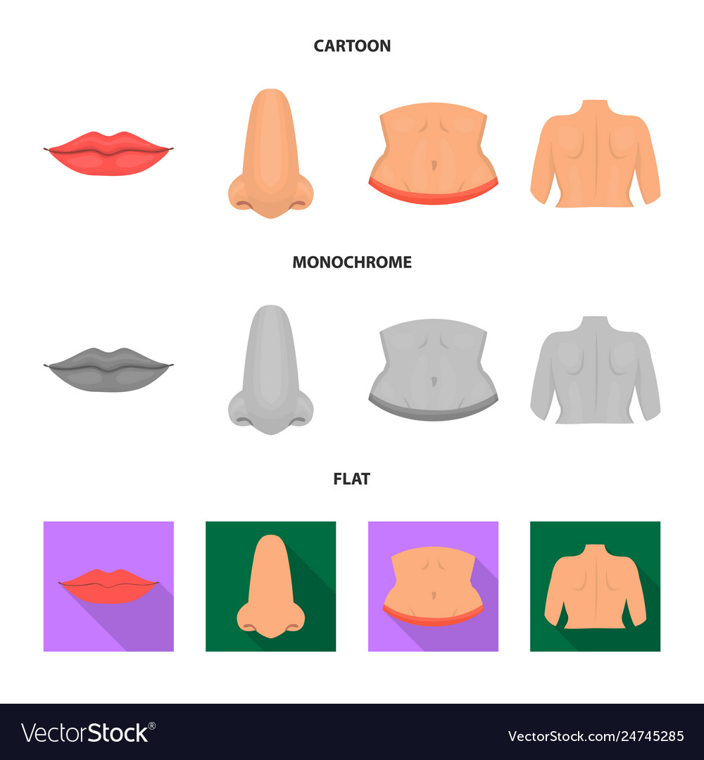 Design body and part symbol set vector image Design body and part symbol set