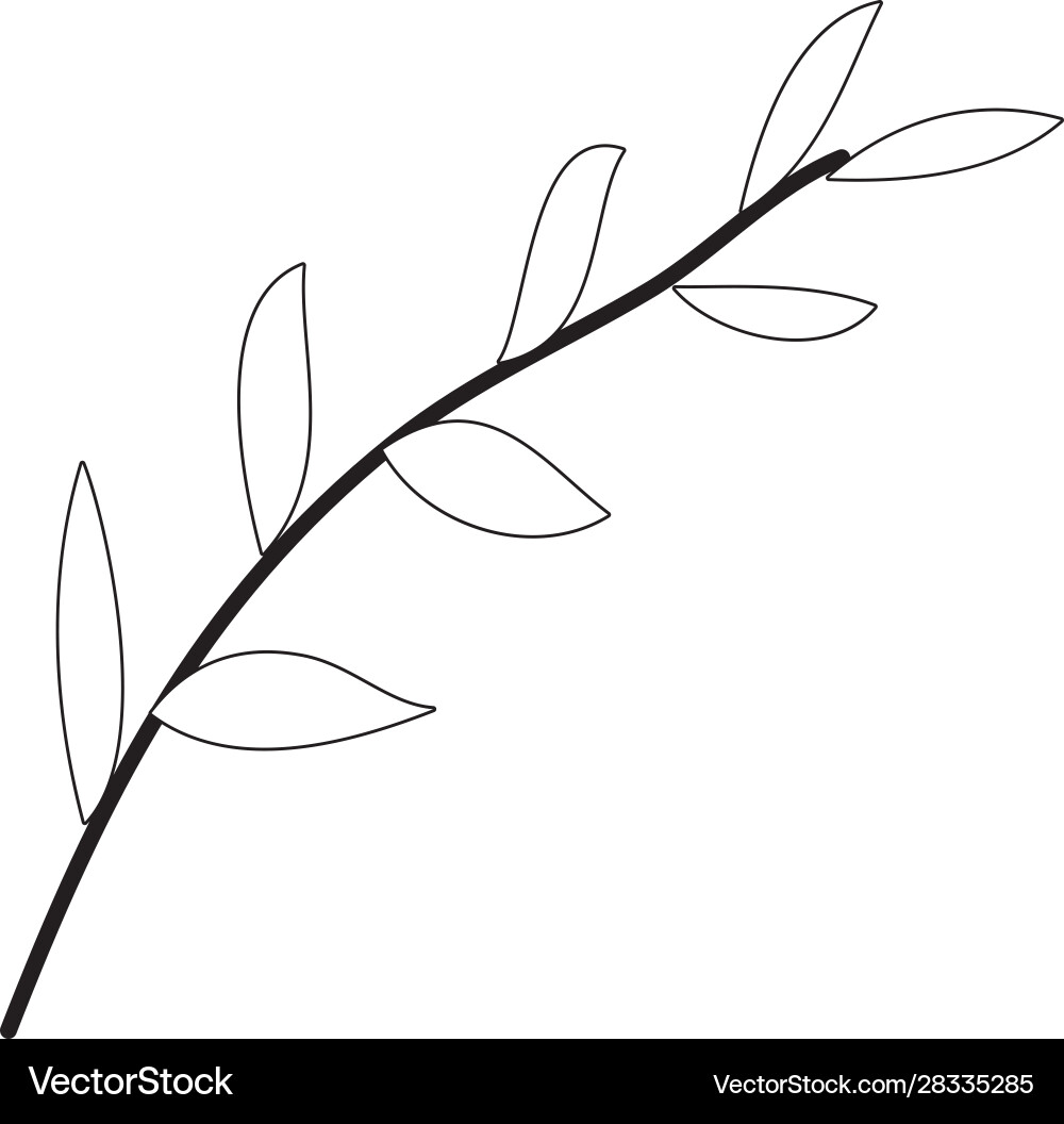 Isolated leaf icon design Royalty Free Vector Image
