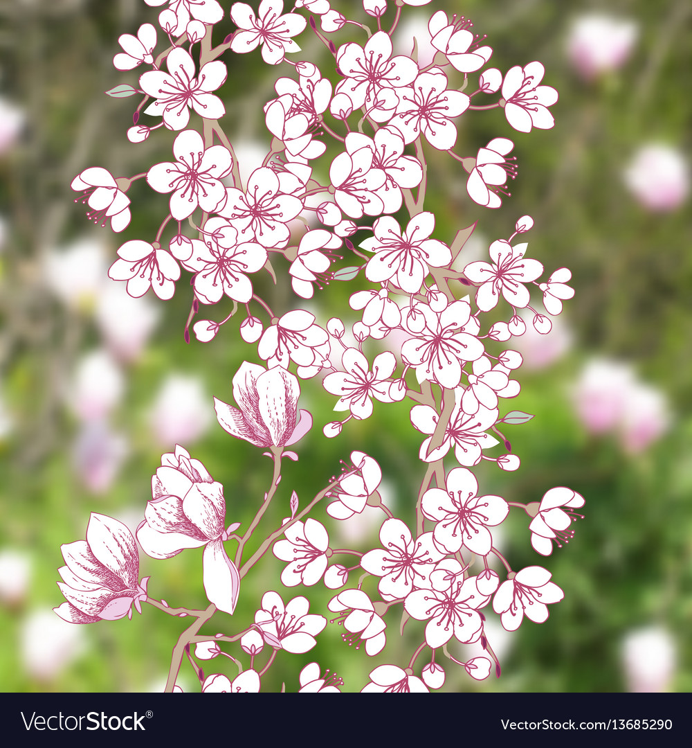 Background with sakura and magnolia