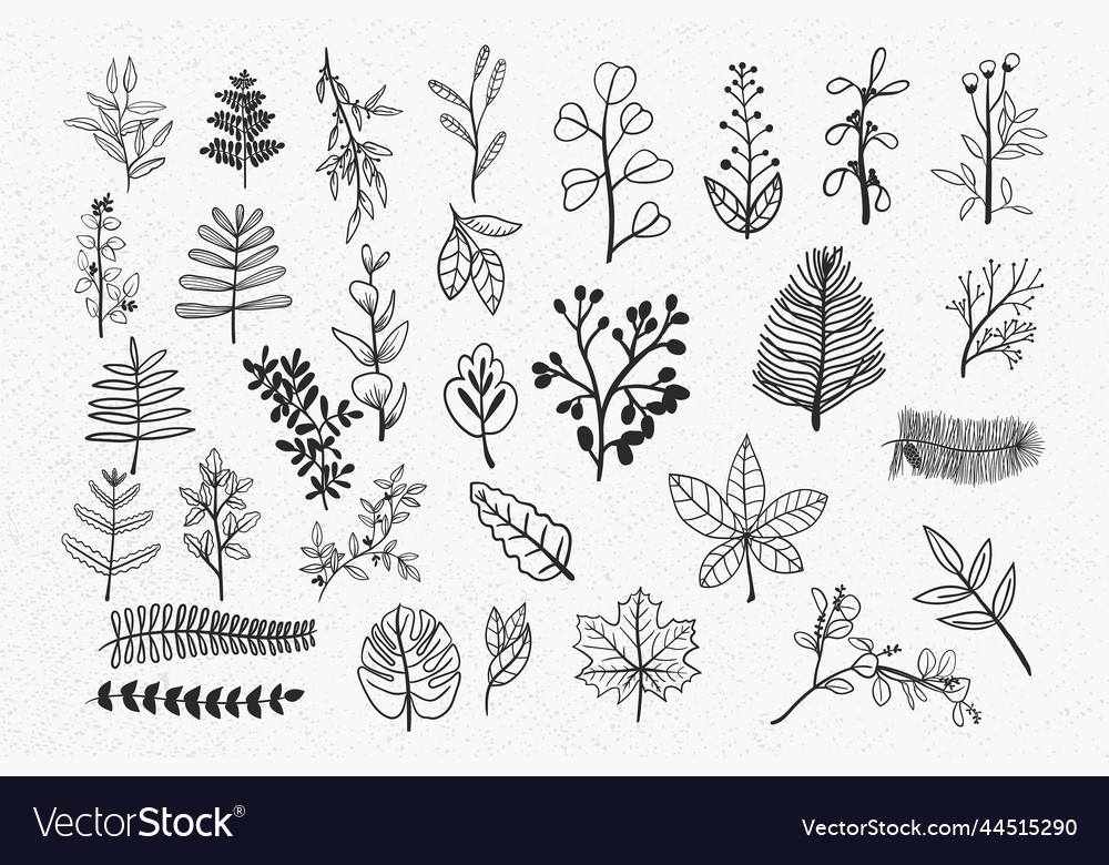 Leaves bundle svg greenery floral leaf Royalty Free Vector